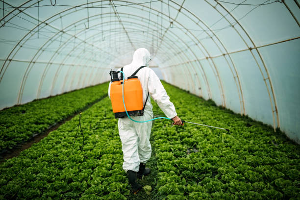 Best Commercial Pest Control Services  in Pittsboro, IN