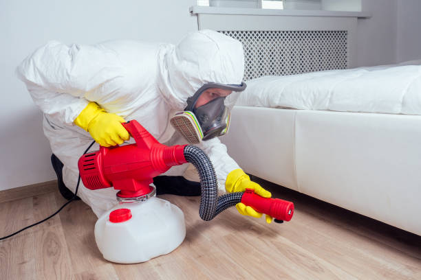 Best Termite Control Services  in Pittsboro, IN