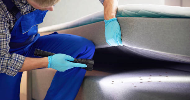 Best Local Pest Control Services  in Pittsboro, IN