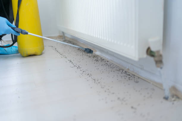 Best Mosquito Control Services  in Pittsboro, IN